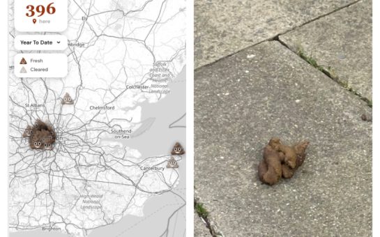 Pin the Poo website next to poo that was pinned