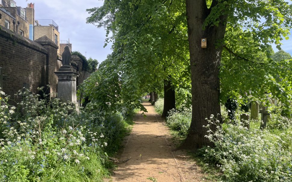 What's going on with the reports of dog poisonings in west London?