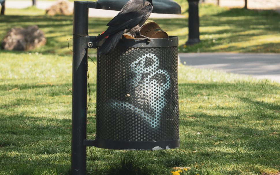 Full up bin with litter falling out of it in a park