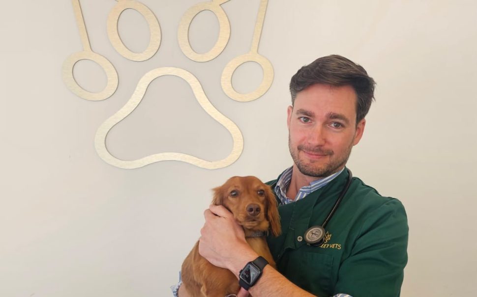 The image shows a Twickenham vet holding a small dog in front of a paw sign.