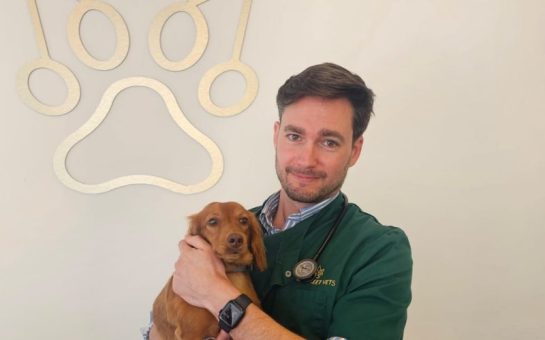 The image shows a Twickenham vet holding a small dog in front of a paw sign.