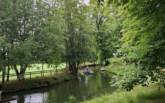 People rowing a small boat on a lake in a London park during warm weather