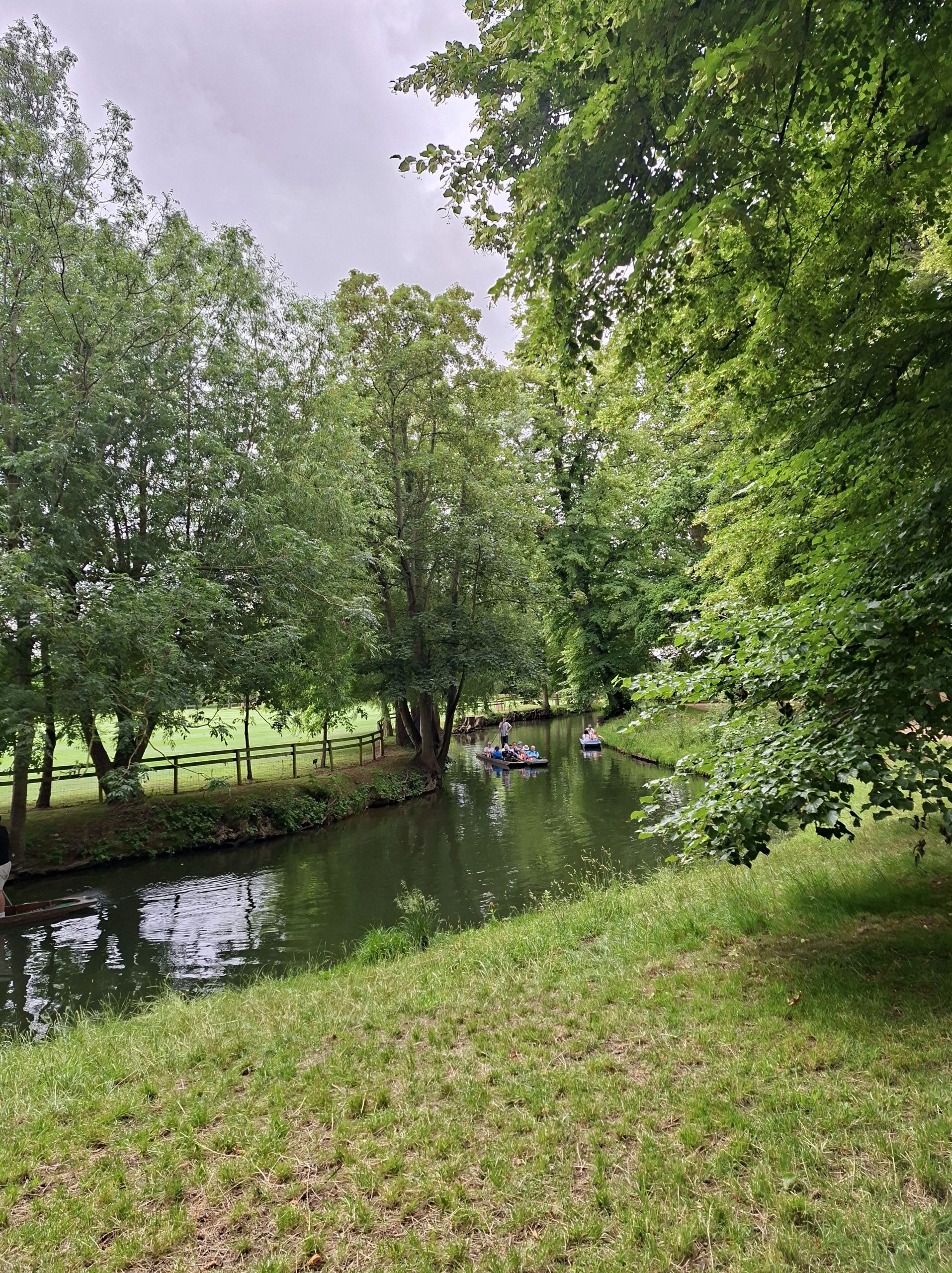 London's parks become refuge as heatwave hits the capital