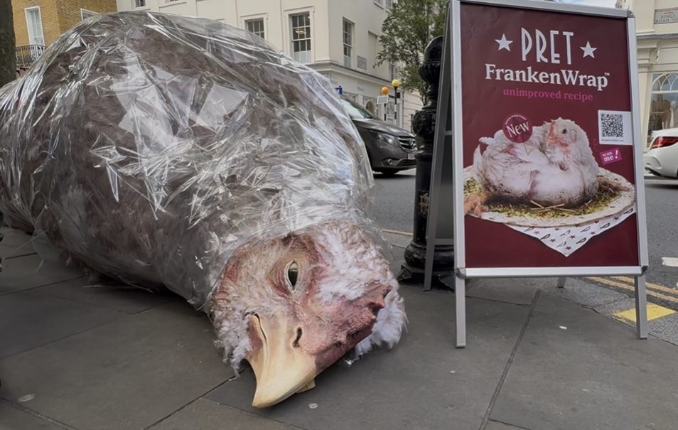 Frankenchicken Wrap