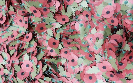 Remembrance poppies