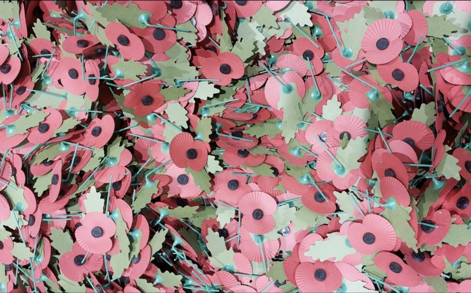 Remembrance poppies