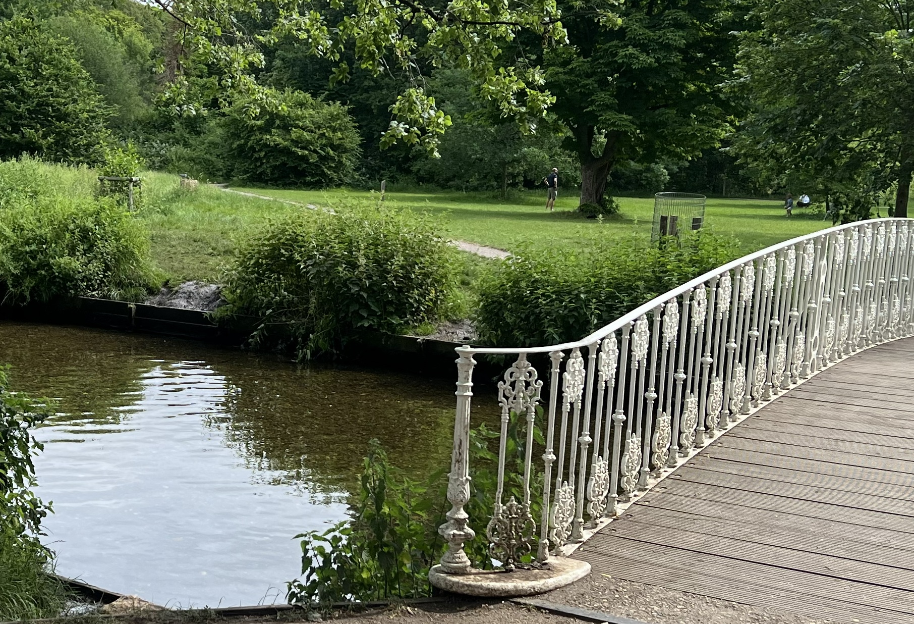 Watch: London Rivers Week sees celebration of nature in the capital