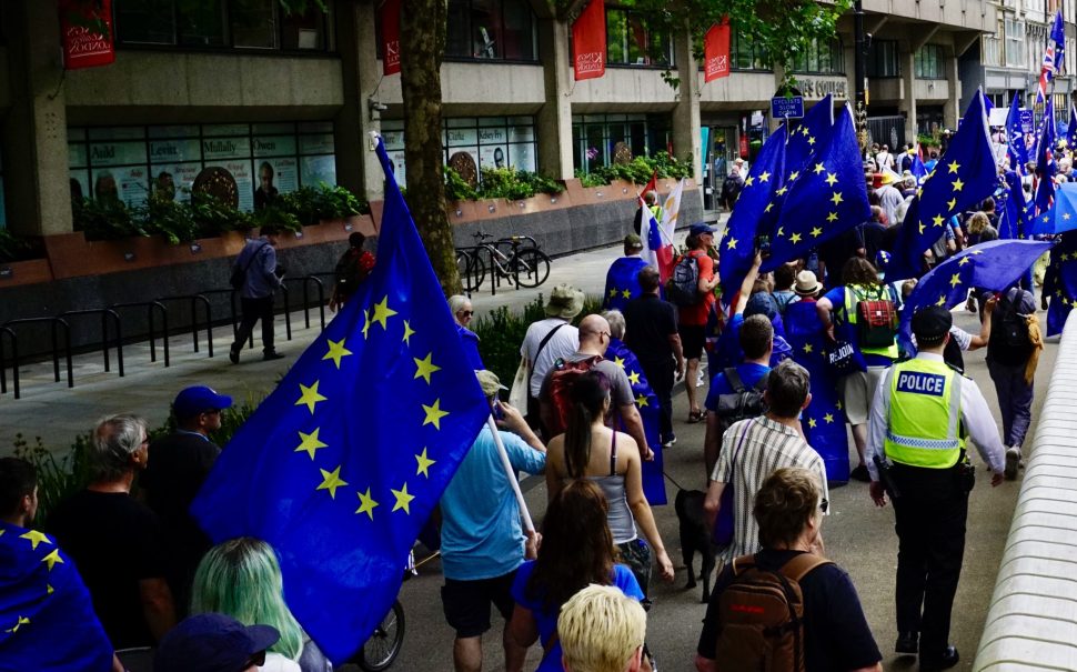Demonstrators at the National Rejoin March outside KCL
