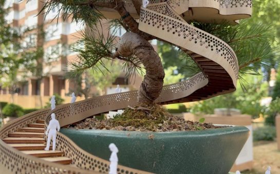 A bonsai tree with a wooden staircase wrapped around it with small plastic human figures on the steps