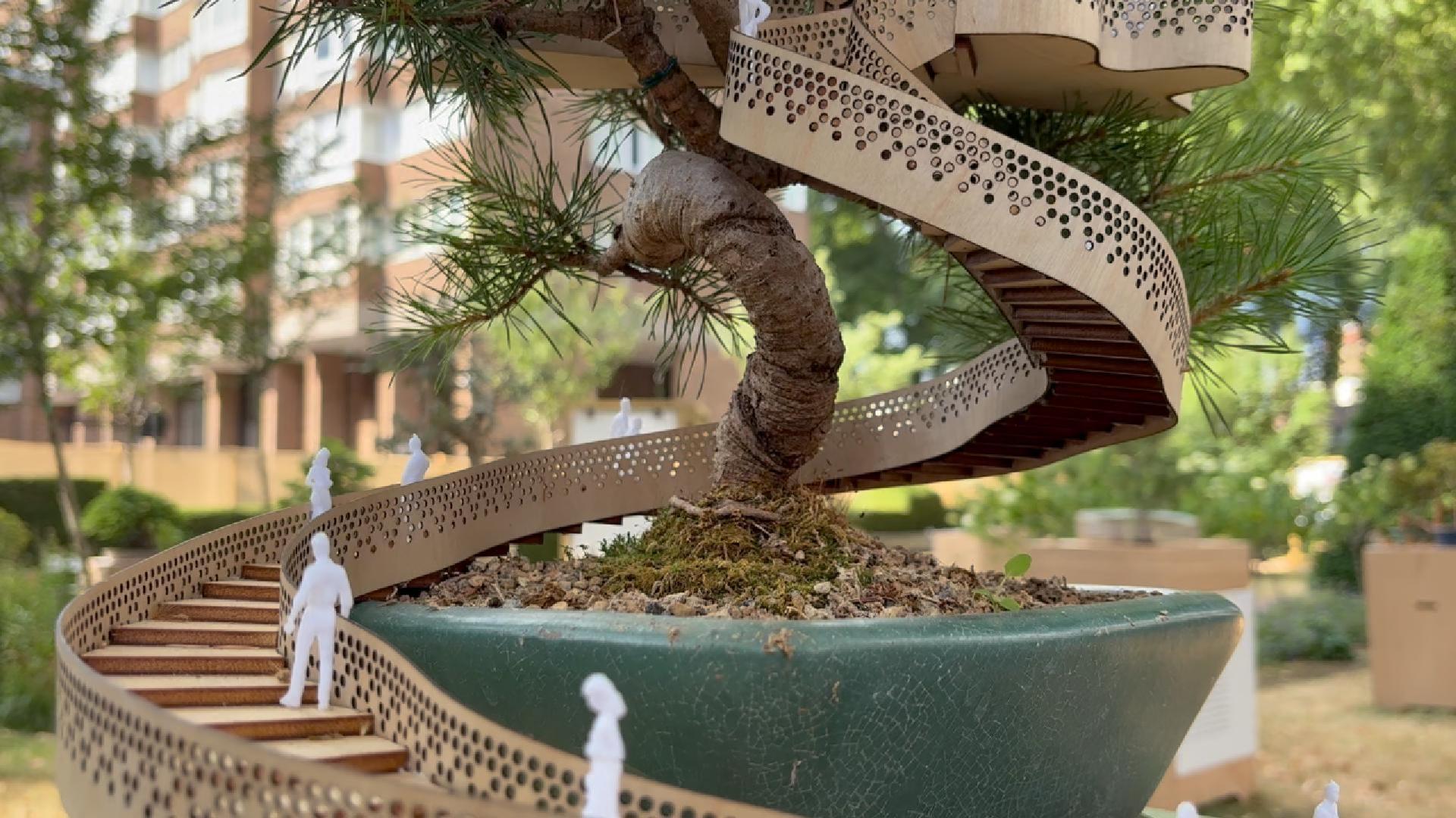 WATCH: Bonsai treehouses on show in Oxford Square Gardens exhibition