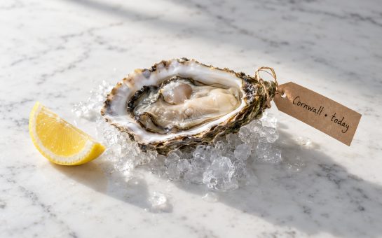 Oyster on ice