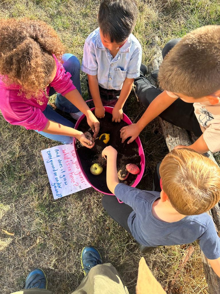 Children playing a game, with text “Can you guess what is in here? And does it grow underground or in-ground?”