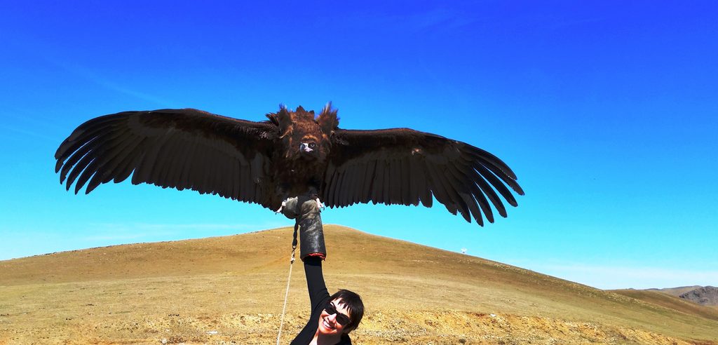 An image of Catherine DeVrye wearing sunglasses with her arm stretched over her head allowing a golden eagle to perch on it as she smiles for the camera with a desert background.